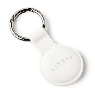 LITTIL Spark